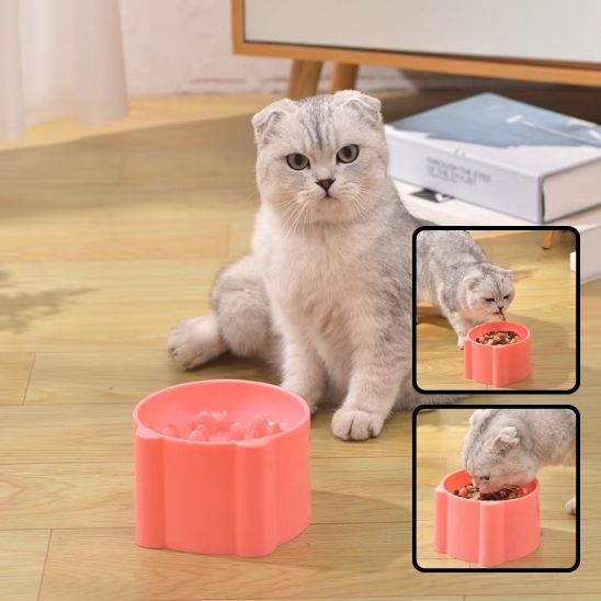 Gamelle surélevé pour Chat, Anti-Vomissements et alimentation lente. - ChatLoulou