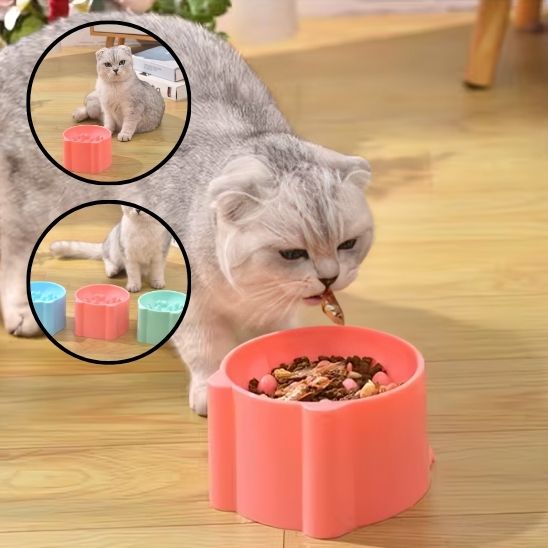 Gamelle surélevé pour Chat, Anti-Vomissements et alimentation lente. - ChatLoulou