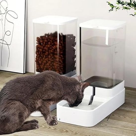 Distributeur de nourriture et d'eau pour chat : La solution automatique pour simplifier le quotidien de votre félin - ChatLoulou