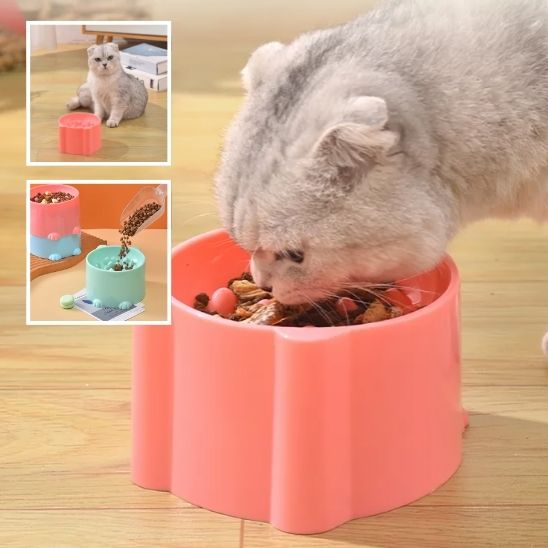 Gamelle surélevé pour Chat, Anti-Vomissements et alimentation lente. - ChatLoulou