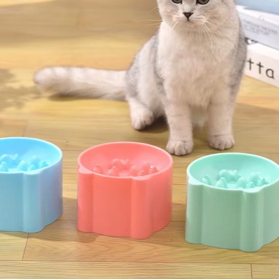 Gamelle surélevé pour Chat, Anti-Vomissements et alimentation lente. - ChatLoulou