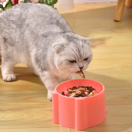 Gamelle surélevé pour Chat, Anti-Vomissements et alimentation lente. - ChatLoulou