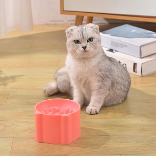 Gamelle surélevé pour Chat, Anti-Vomissements et alimentation lente. - ChatLoulou