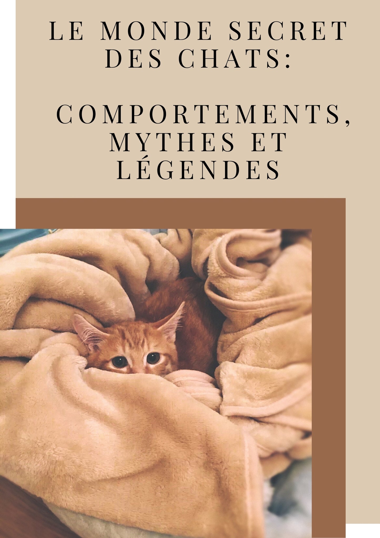 Le monde secret des chats: comportements, mythes et légendes - ChatLoulou