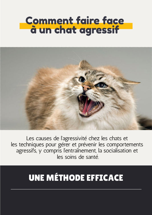 Comment faire face à un chat agressif - ChatLoulou