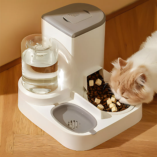 Distributeur Croquettes pour Chat avec Fontaine d'eau - ChatLoulou