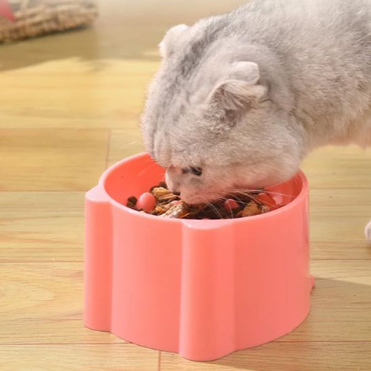 Gamelle surélevé pour Chat, Anti-Vomissements et alimentation lente. - ChatLoulou