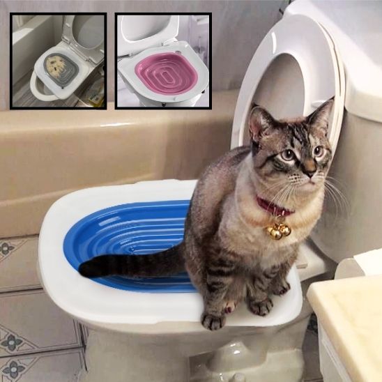 Kit de formation toilettes pour chat - ChatLoulou