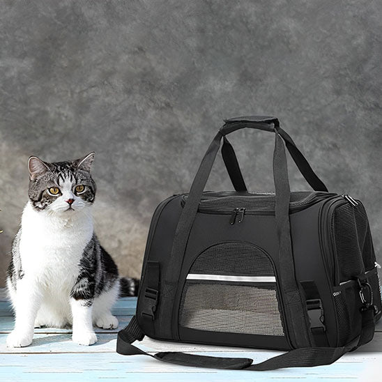 Sac de transport pour chat : Le compagnon idéal pour vos voyages (44x28x25cm)