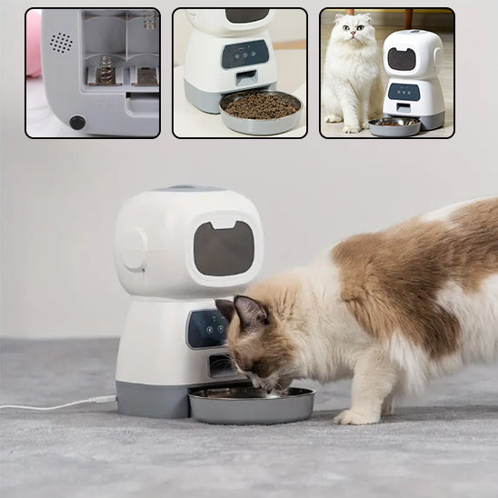 Mangeoire automatique pour chats : La solution intelligente pour nourrir votre félin