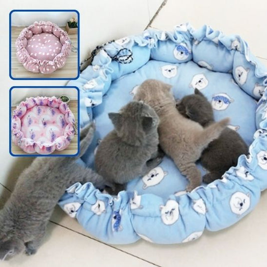 Coussin mignon pour Chats Lavable en Machine : Le Confort suprême pour Votre Félin