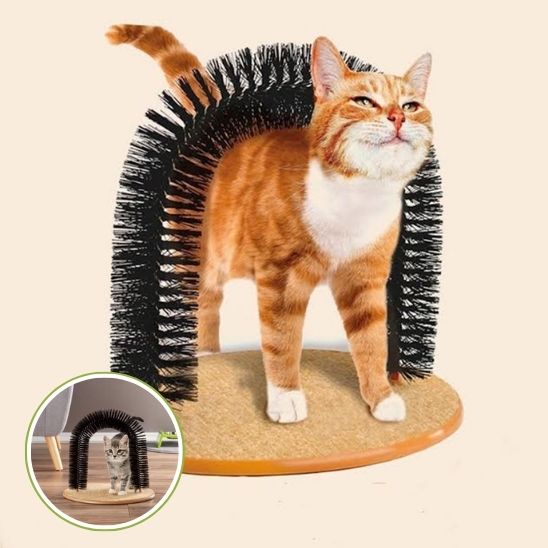 Arc Auto Brosse de Massage pour Chat : La Solution Ultime pour le Bien-être Félin - ChatLoulou