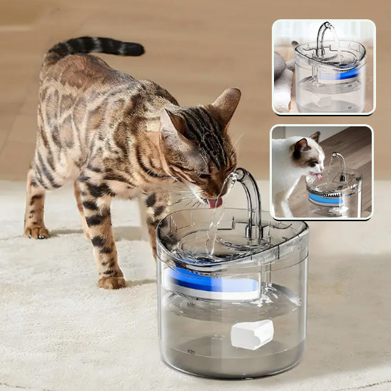 Abreuvoir Automatique pour Animaux de Compagnie - ChatLoulou