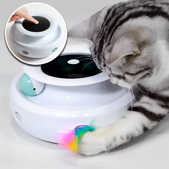 Jouet interactif pour chat 2 en 1 : Stimulation et divertissement garantis - ChatLoulou