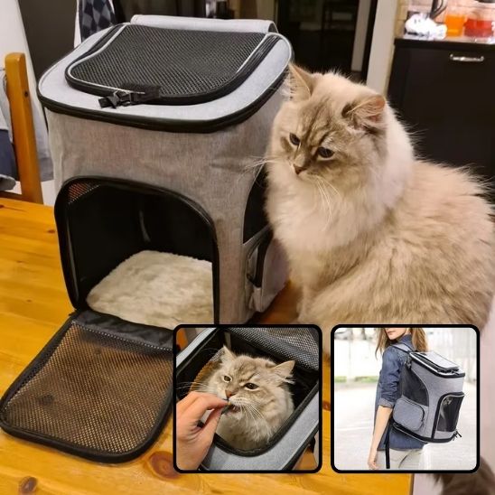 Sac à Dos de Luxe Extensible pour Chat : Le Compagnon de Voyage Idéal pour Votre Félin