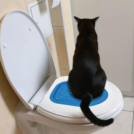 Kit de formation toilettes pour chat - ChatLoulou