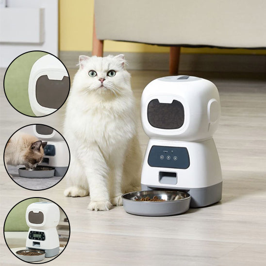 Mangeoire automatique pour chats : La solution intelligente pour nourrir votre félin