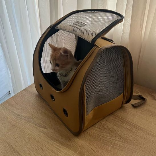 Sac à dos pliable pour chat : Le compagnon idéal pour vos aventures félines