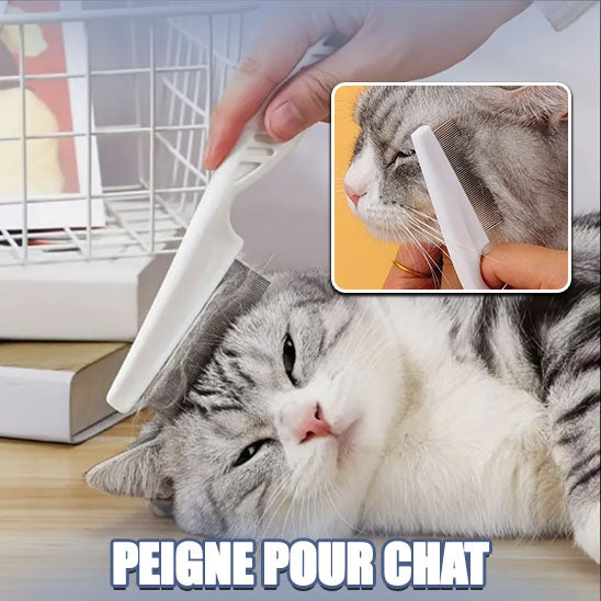 Peigne anti-puces en acier inoxydable pour chat : La solution efficace contre les parasites - ChatLoulou