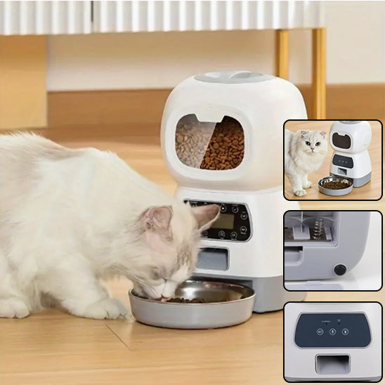 Mangeoire automatique pour chats : La solution intelligente pour nourrir votre félin