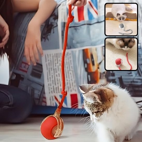 Balle Interactive pour Chat : Le Jeu Intelligent qui Révolutionne l'Amusement Félin - ChatLoulou