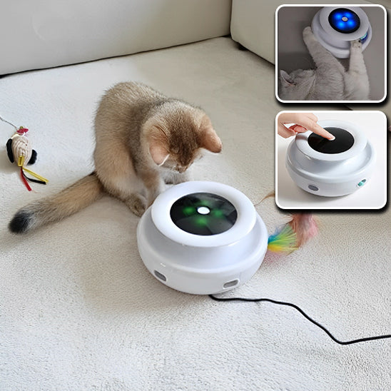 Jouet interactif pour chat 2 en 1 : Stimulation et divertissement garantis - ChatLoulou