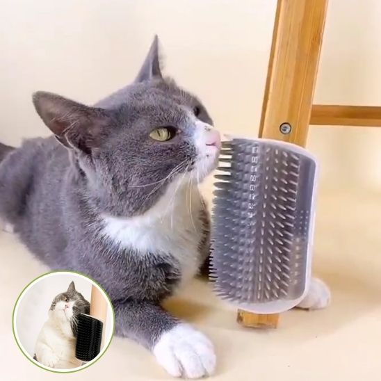 Masseur/Peigne murale: La Solution Idéale pour le Bien-être de Votre Chat - ChatLoulou