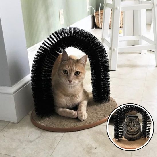 Arc Auto Brosse de Massage pour Chat : La Solution Ultime pour le Bien-être Félin - ChatLoulou