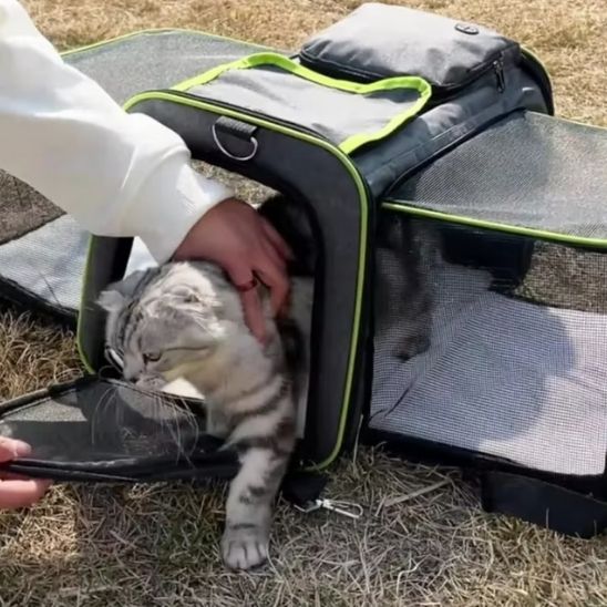 Le Transporteur Extensible pour Chat - ChatLoulou