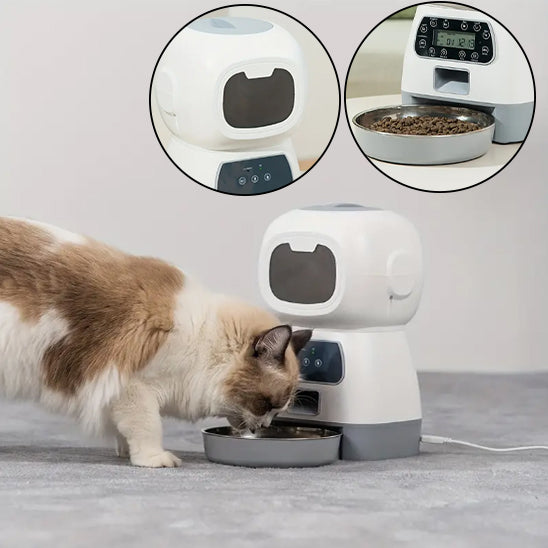 Mangeoire automatique pour chats : La solution intelligente pour nourrir votre félin