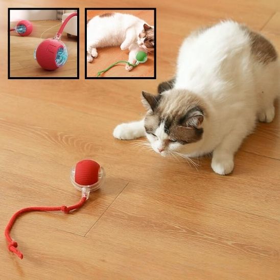 Balle Interactive pour Chat : Le Jeu Intelligent qui Révolutionne l'Amusement Félin - ChatLoulou