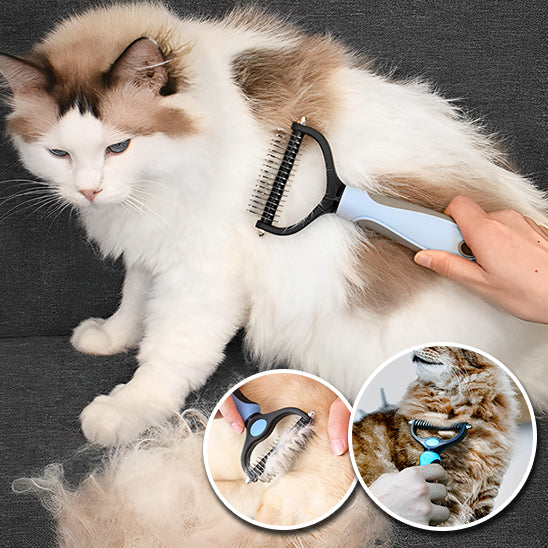 Brosse Professionnelle pour démêlage des poils de chat : La Solution Ultime pour un Pelage Parfait - ChatLoulou