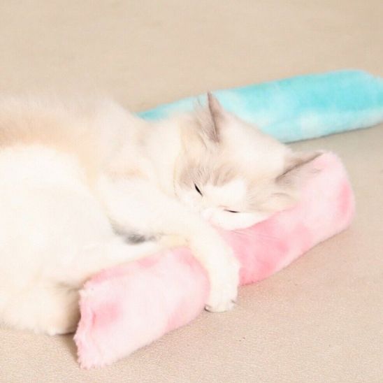 Jouets interactifs en peluche pour chat : Le compagnon parfait pour votre félin