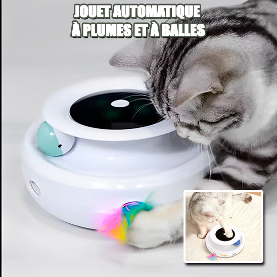 Jouet interactif pour chat 2 en 1 : Stimulation et divertissement garantis - ChatLoulou