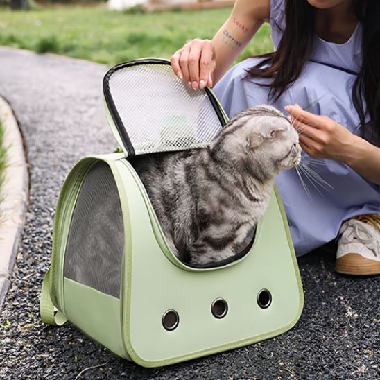 Sac à dos pliable pour chat : Le compagnon idéal pour vos aventures félines