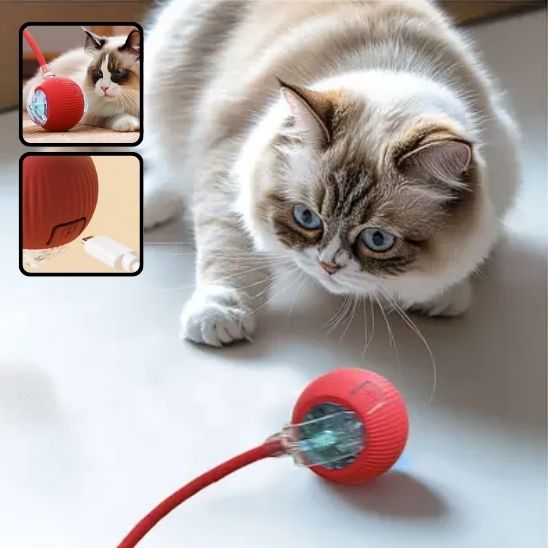 Balle Interactive pour Chat : Le Jeu Intelligent qui Révolutionne l'Amusement Félin - ChatLoulou