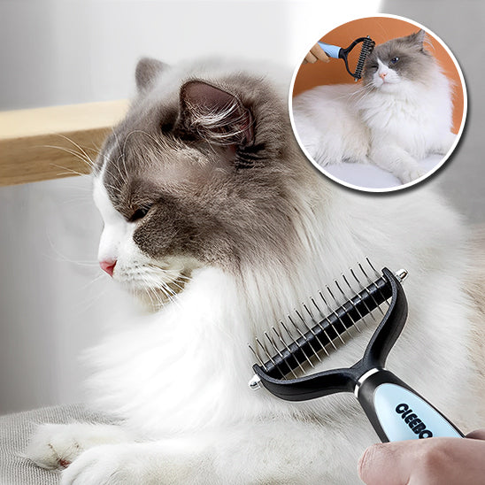 Brosse Professionnelle pour démêlage des poils de chat : La Solution Ultime pour un Pelage Parfait - ChatLoulou