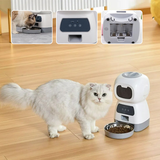 Mangeoire automatique pour chats : La solution intelligente pour nourrir votre félin