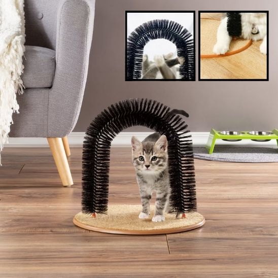 Arc Auto Brosse de Massage pour Chat : La Solution Ultime pour le Bien-être Félin - ChatLoulou