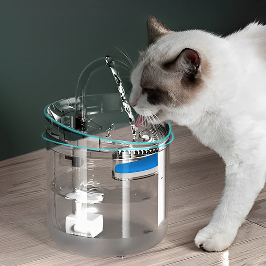 Abreuvoir Automatique pour Animaux de Compagnie - ChatLoulou