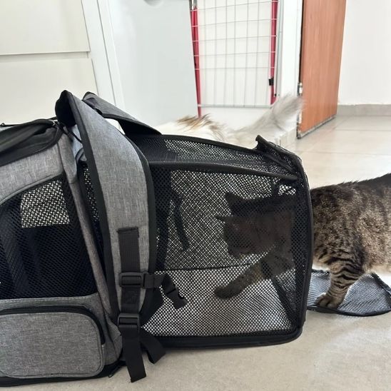 Sac à Dos de Luxe Extensible pour Chat : Le Compagnon de Voyage Idéal pour Votre Félin