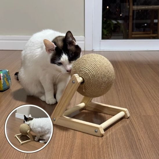 Boule à gratter pour chat : Le jouet indispensable pour votre félin