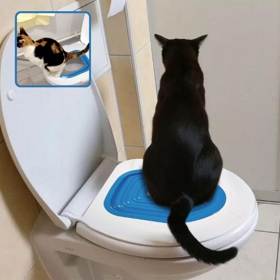 Kit de formation toilettes pour chat - ChatLoulou