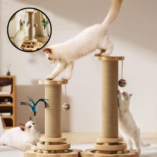 Jouet pour Chat 4 en 1 - Corde en Sisal - Arbre à Chat Multifonction - ChatLoulou