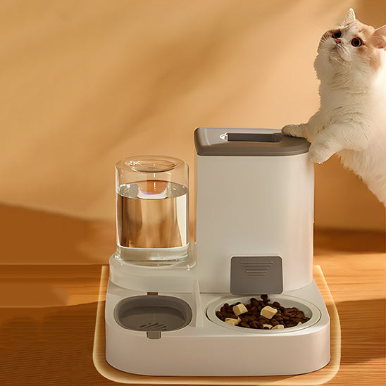 Distributeur Croquettes pour Chat avec Fontaine d'eau - ChatLoulou