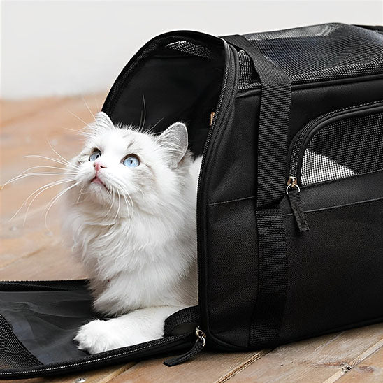 Sac de transport pour chat : Le compagnon idéal pour vos voyages (44x28x25cm)