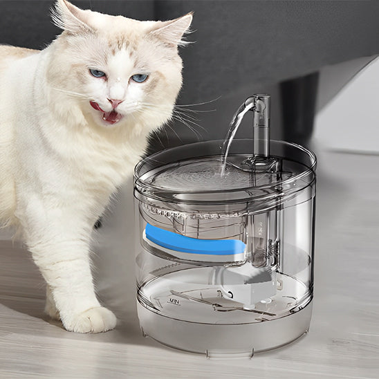 Abreuvoir Automatique pour Animaux de Compagnie - ChatLoulou